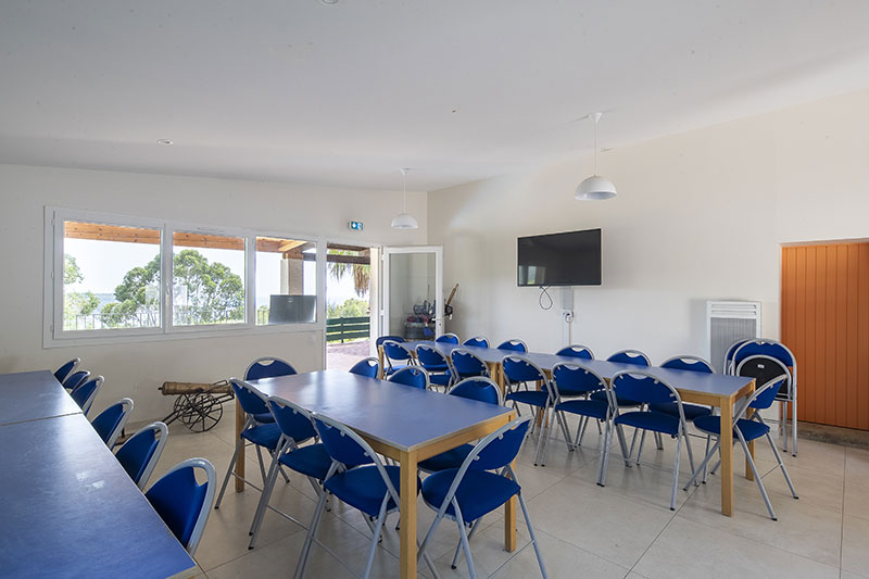 artaude-salle-activité-2